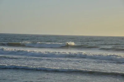 DSC_7252 (Large).JPG